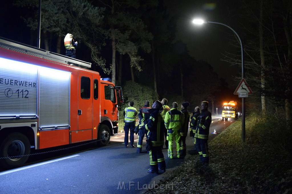 VU Koeln Dellbrueck Kalkweg Duennwalder Mauspfad P13.JPG - Miklos Laubert